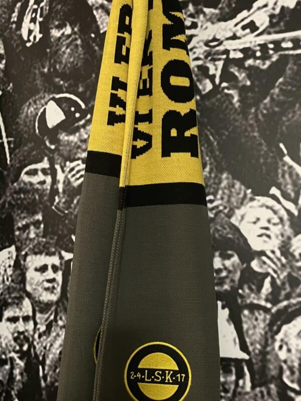 Skjerf Fugla Fra Romerike