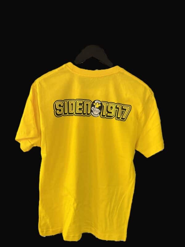 T-skjorter